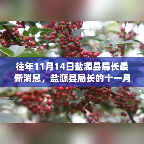 盐源县局长十一月奇遇，友情、家庭与温暖的日常记录