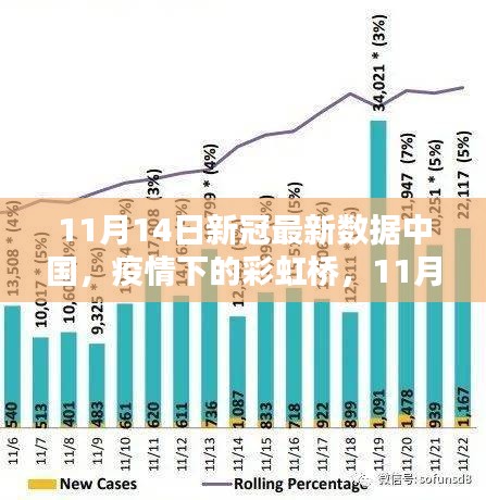 中国疫情下的彩虹桥，家庭温暖瞬间与最新数据报告