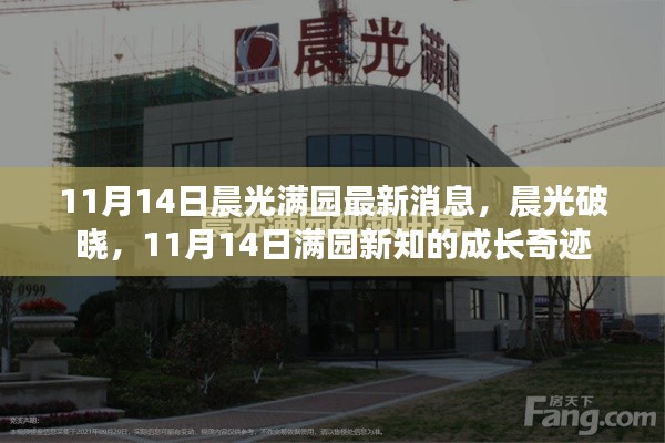 11月14日晨光满园的成长奇迹，晨光破晓与新知的绽放