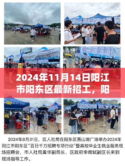 阳江市阳东区最新招工动态概览，2024年11月14日招工信息