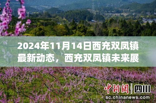 2024年西充双凤镇最新动态及未来展望研讨会