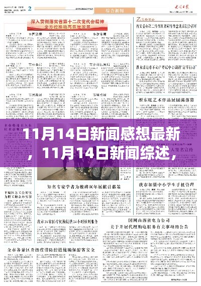 11月14日新闻综述及感想，聚焦要点，最新分析