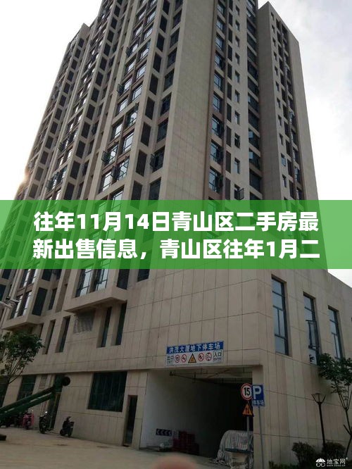 青山区二手房市场深度观察，往年1月与最新出售信息评测报告（含最新出售信息）