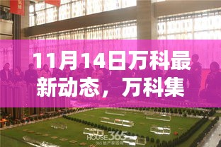 万科集团最新动态概览，11月14日更新摘要