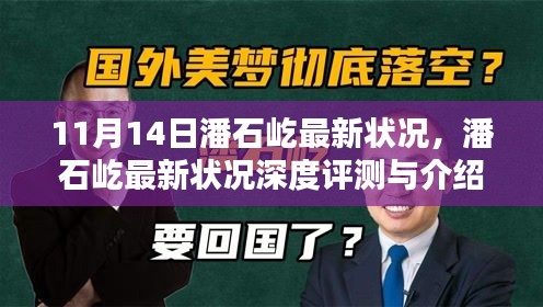 潘石屹最新深度评测与现状介绍，11月14日更新