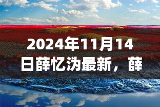 薛忆沩最新游记揭秘，探索自然美景之旅，心灵宁静角落的寻觅之旅（2024年11月14日）