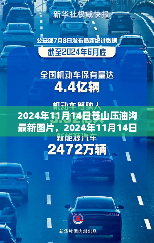 苍山压油沟最新图片展示，自然美景与现代发展的完美融合