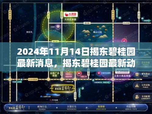 独家揭秘，揭东碧桂园最新动态与三大要点（2024年11月14日更新）