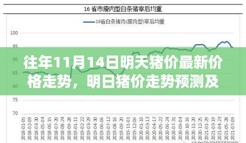 往年11月14日猪价最新动态，走势分析与预测