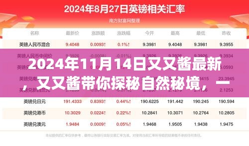 又又酱带你探秘自然秘境，心灵之旅启程于2024年11月14日