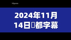 桜都字幕回顾与展望，最新动态与未来展望（2024年11月14日）