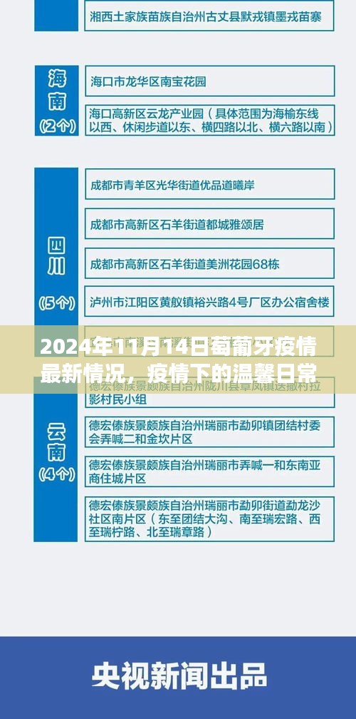 葡萄牙疫情最新动态，阳光下的温馨日常（2024年11月14日）