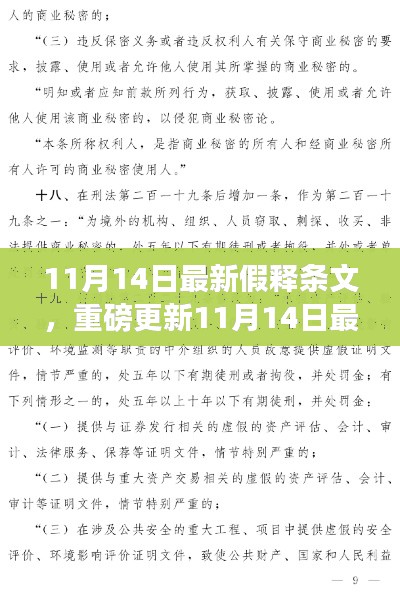 11月14日假释条文最新详解，你需要了解的一切重磅更新