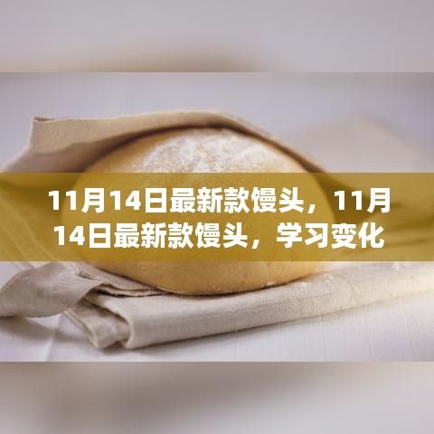 11月14日最新款馒头，开启自信成就梦想之旅