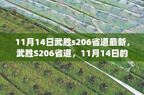 武胜S206省道新篇章，探寻变迁与影响，11月14日最新进展