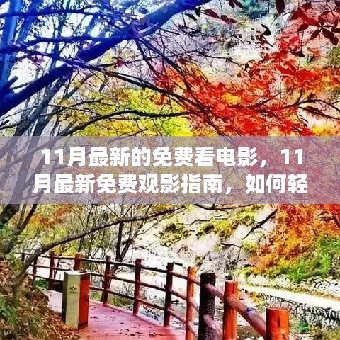 11月最新免费观影指南，轻松享受电影盛宴的秘诀