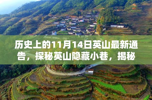 探秘英山隐藏小巷，历史气息下的特色小店奇闻——最新通告发布于历史上的11月14日