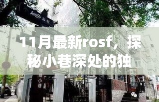 探秘小巷深处的独特风味，揭秘11月最新ROSF特色小店美食之旅