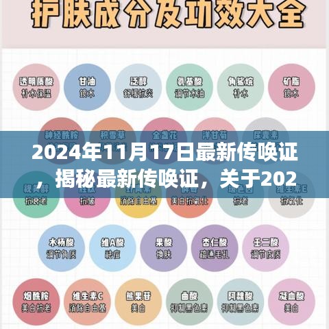 2024年11月17日最新传唤证深度解读与揭秘