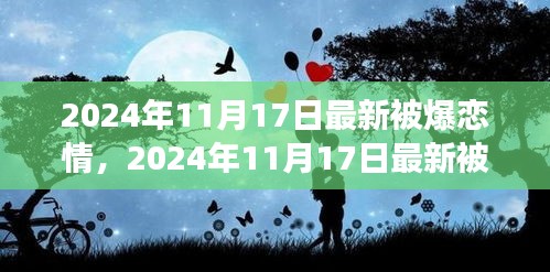 明星爱情新篇章揭秘，最新恋情曝光，2024年11月17日独家报道