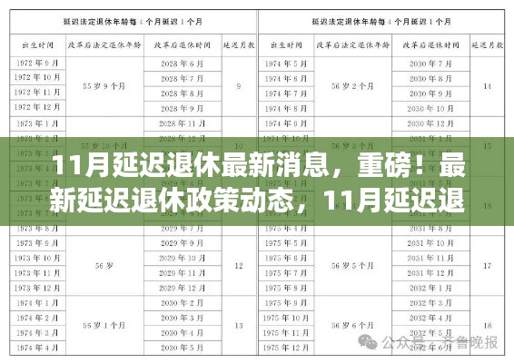 重磅揭秘，最新延迟退休政策动态及11月延迟退休年龄调整详解