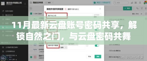 最新云盘账号密码共享，解锁自然之门，探寻宁静之旅