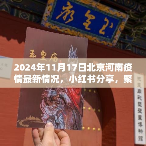 2024年11月17日北京河南疫情深度报告，最新动态与小红书分享