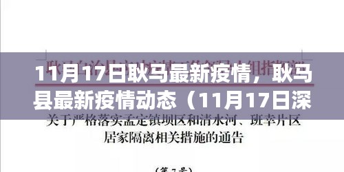 耿马县疫情最新动态解析，11月17日深度报告