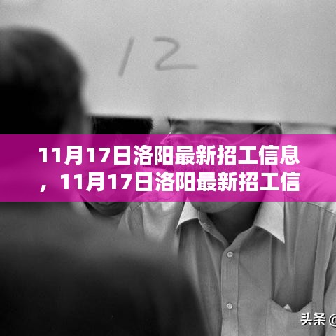 11月17日洛阳最新招工信息详解及评测