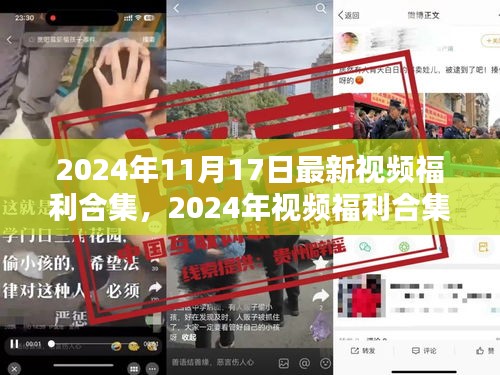 建议，审视价值，2024年视频福利合集精选