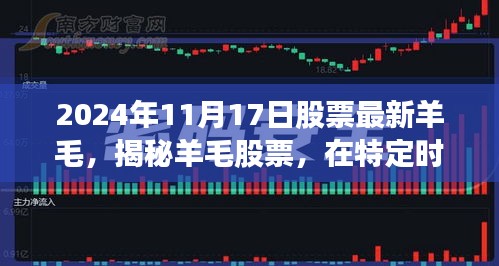 揭秘羊毛股票，时空下的波澜起伏（最新情报，2024年11月17日）