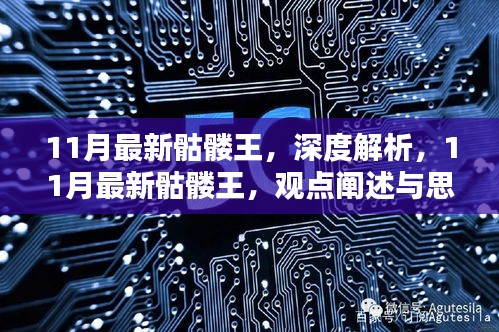 深度解析与观点思辨，11月最新骷髅王解析报告