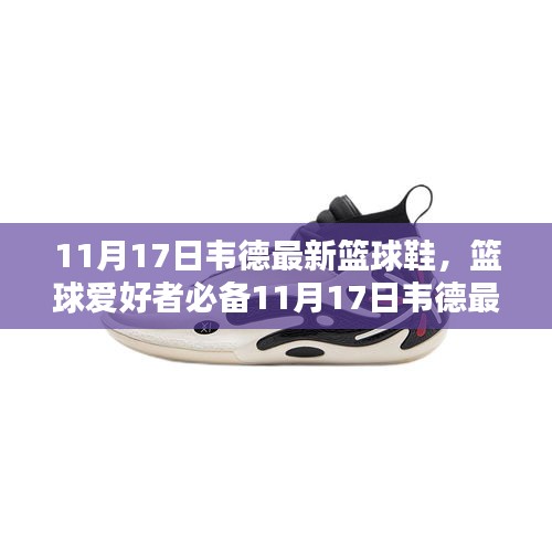 11月17日韦德最新篮球鞋购买攻略与穿戴技巧，篮球爱好者的必备之选