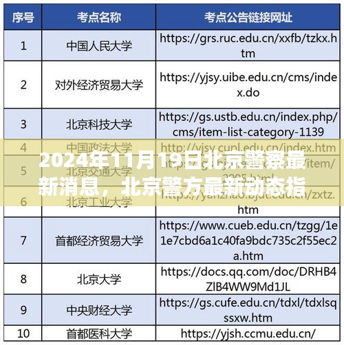 2024年11月19日北京警方最新动态及警务信息全面解读指南