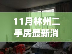 揭秘林州二手房市场风云变幻，最新消息全解析（11月版）