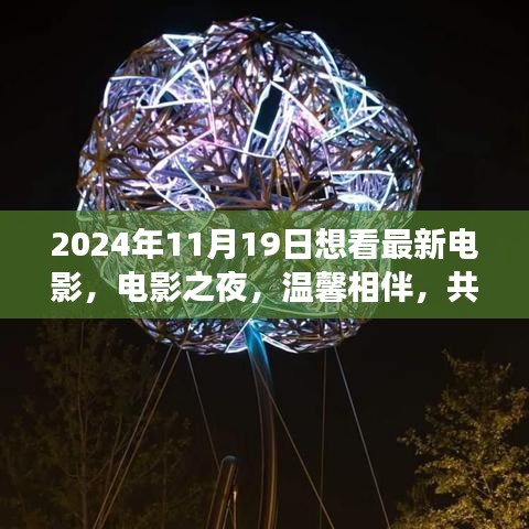 光影之梦，电影之夜温馨相伴，共赴最新电影之旅（2024年11月19日）