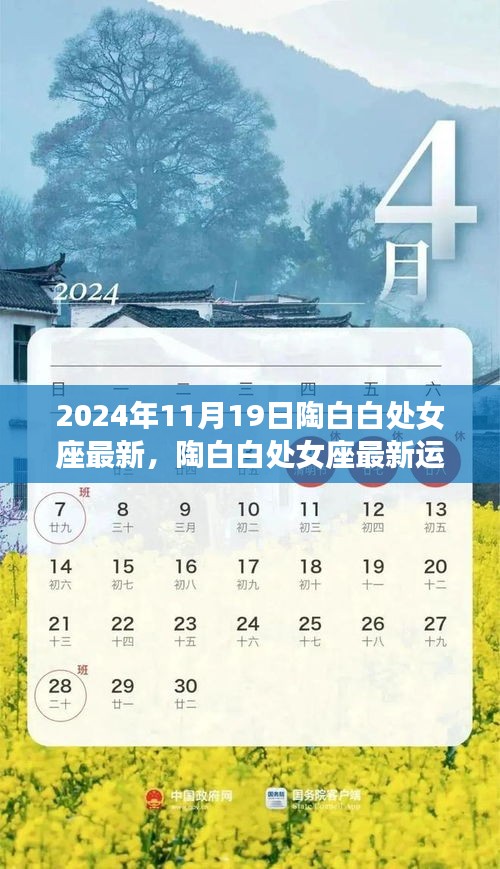 陶白白处女座运势深度解读，最新观点与运势分析（2024年11月19日）