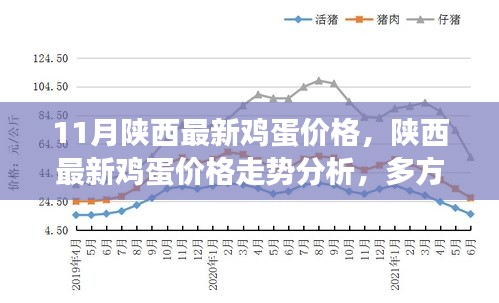 陕西鸡蛋市场深度解析，最新价格走势、多方观点与个人立场探讨