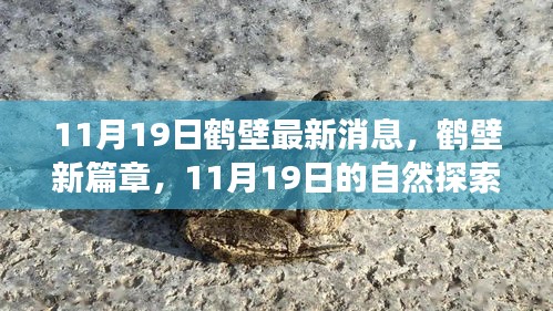 鹤壁新篇章，11月19日自然探索之旅的心灵港湾寻找记