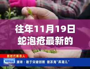 蛇泡疮最新治疗方法突破创新，探索之旅与重塑自信与成就感之路