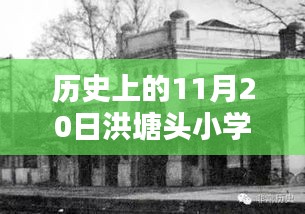 洪塘头小学的历史变迁与最新动态，深度思考下的启示