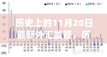 历史上的11月20日，外汇监管新篇章——变革中的自信与成果展示