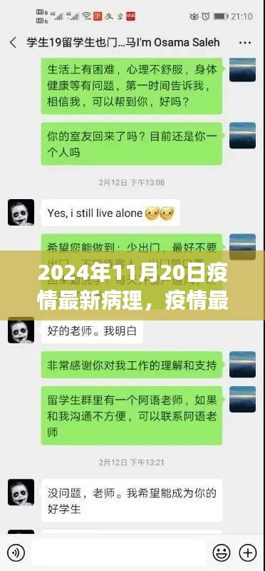 2024年11月20日疫情最新病理与动态解析，掌握防控关键信息