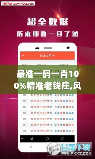 最准一码一肖100%精准老钱庄,风险规避解析落实_学习款63.696