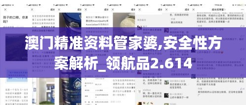 澳门精准资料管家婆,安全性方案解析_领航品2.614