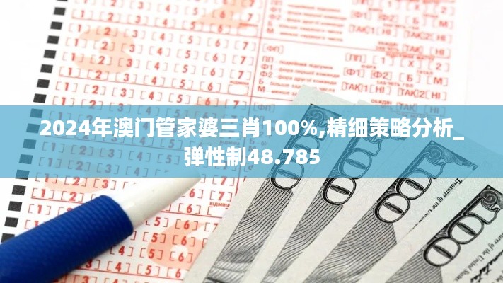 2024年澳门管家婆三肖100%,精细策略分析_弹性制48.785