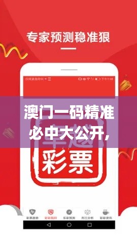 澳门一码精准必中大公开,动态解释词汇_进展版29.881