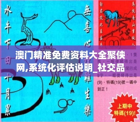 澳门精准免费资料大全聚侠网,系统化评估说明_社交品67.257