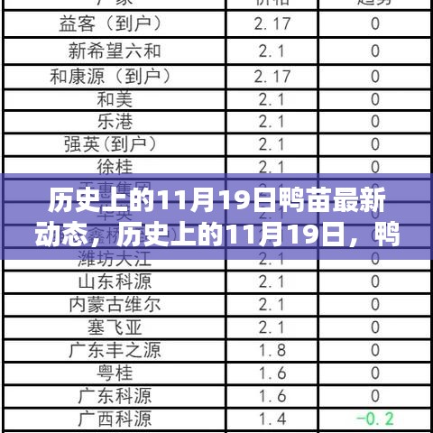 历史上的11月19日鸭苗动态概览，最新动态概览与概览