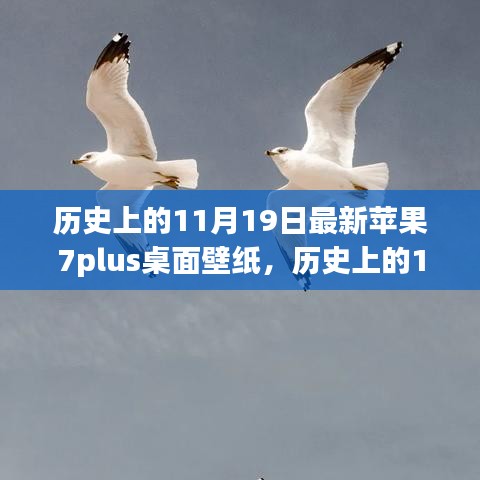 历史上的11月19日，最新苹果7plus桌面壁纸时光之旅探索